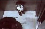 طفل يقتل أمه داخل المصعد