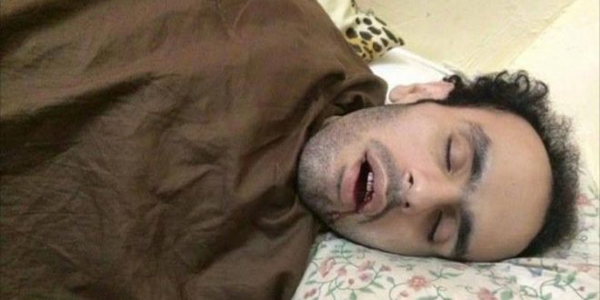 وصول محمد سلطان لأمريكا يُصير الفرح بقلوب المصريين