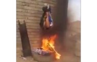 بالفيديو ميليشيا الحشد الشعبي تحرق شابا سعوديا بالعراق