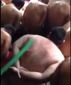بالفيديو .. ضرب وتعذيب في سجن رومية يُثير حالة اشمئزاز بلبنان