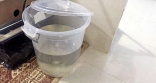 وفاة طفل كويتي غرقا داخل سطل ماء