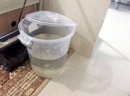 وفاة طفل كويتي غرقا داخل سطل ماء