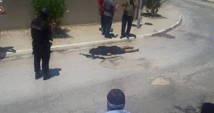 مقتل 27 سائحا في تونس بهجوم على شاطئ فندق
