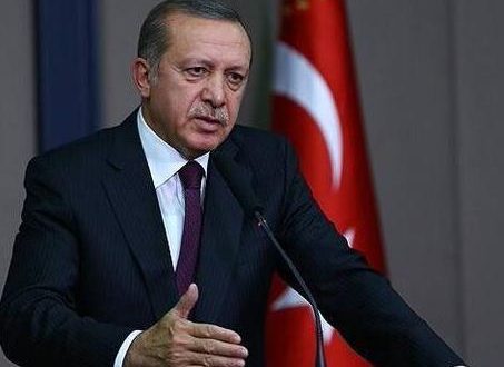 أردوغان يحدّد 1 نوفمبر لاجراء انتخابات مبكرة