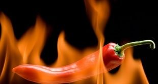 الطعام الحارّ يُطيل العمر ويقي من الامراض