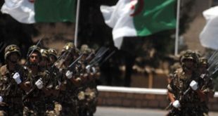 الجيش الجزائري قتل واعتقل 157 ارهابيا عام 2015