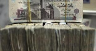 خفض الجنيه المصري الى 8.25 للدولار في الموازنة
