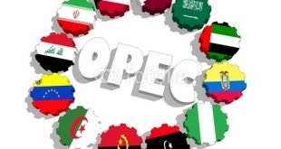 اجتماع في قطر لمنجي اوبك الشهر المقبل