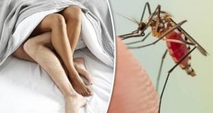 تسحيل اول حالة اصابة بفيروس زيكا بعد ممارسة الجنس