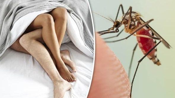 تسحيل اول حالة اصابة بفيروس زيكا بعد ممارسة الجنس