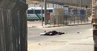 شهيدين على حاجز قلنديا برصاص الاحتلال