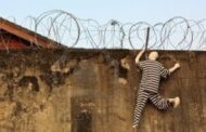 القبض على السجين الفار من سجن القبة شمال لبنان