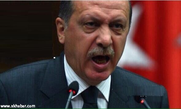اردوغان يعلن قتل 3000 داعشي في سوريا والعراق