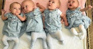 لبنانية تضع 4 توائم دفعة واحدة