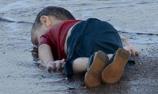 بالصورة.. إيلان اخر يلفظه البحر جثة بلا روح