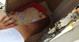 ضبط 140 كيلو من الكبتاغون داخل ماكينة للمثلجات