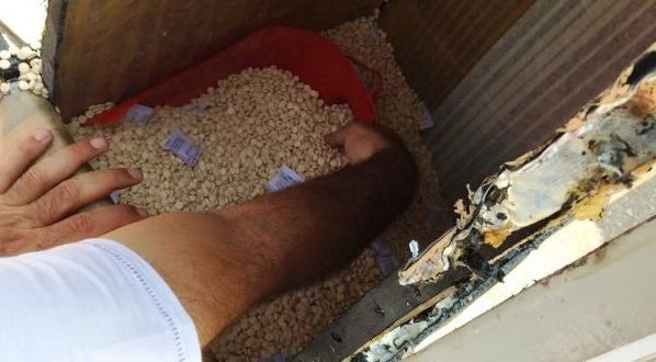 ضبط 140 كيلو من الكبتاغون داخل ماكينة للمثلجات