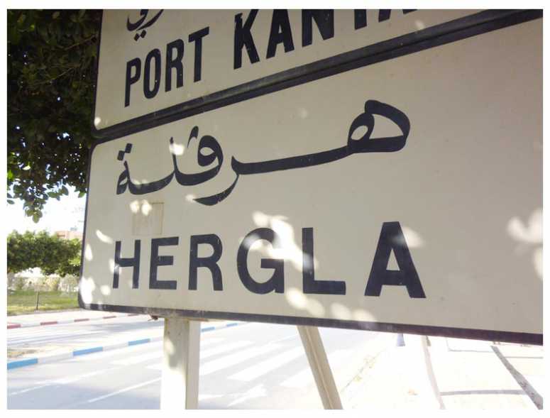 تفكيك خليّة إرهابيّة في مدينة هرقلة التونسية