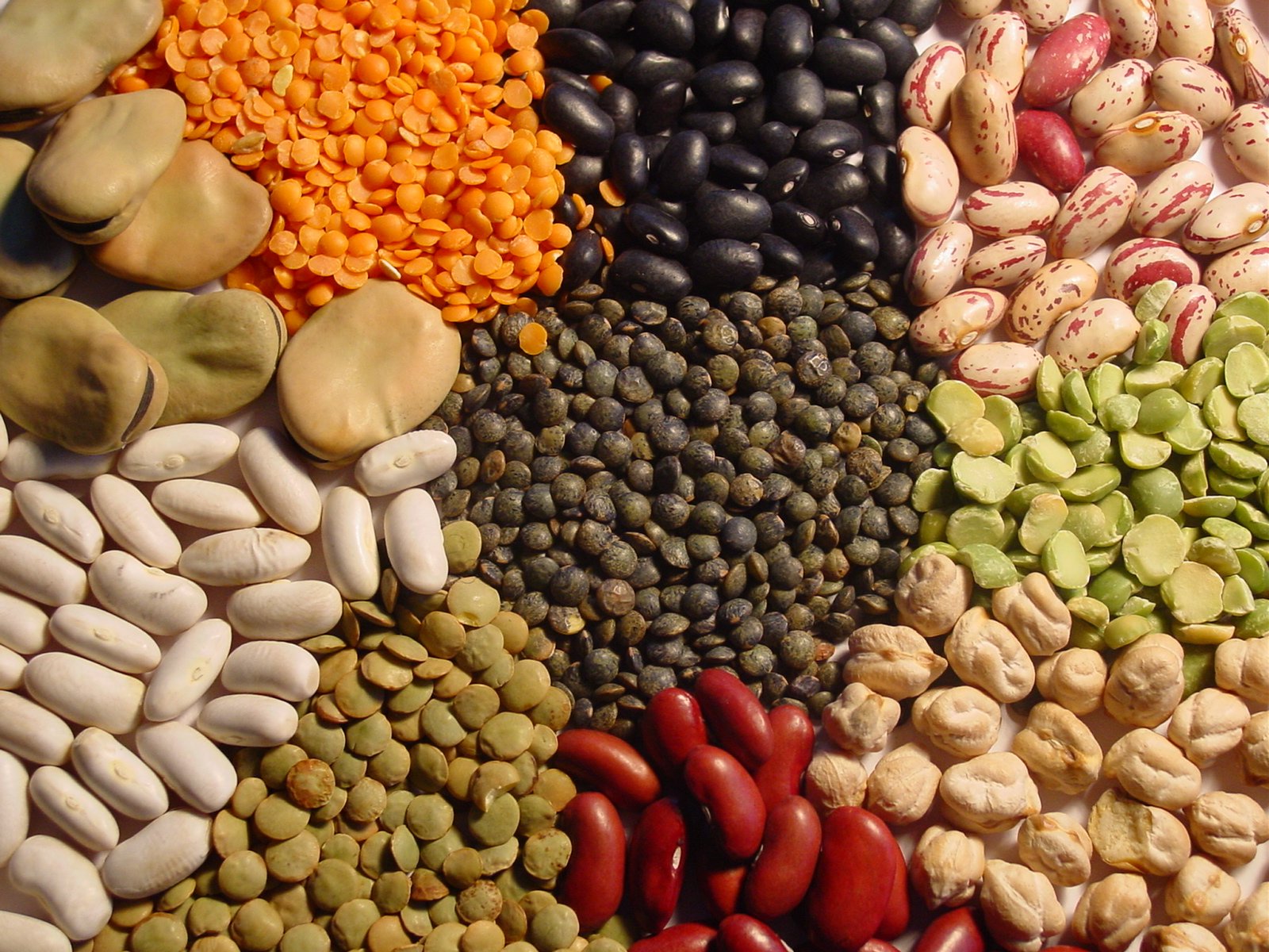 أخصائية التغذية: فوائد الحبوب الكاملة مذهلة لجسمك