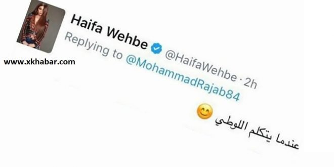 هيفاء وهبي ترد على محمد رجب: عندما يتكلم اللوطي