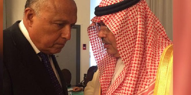 مصر والسعودية تتفقان على قطر
