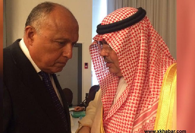 مصر والسعودية تتفقان على قطر