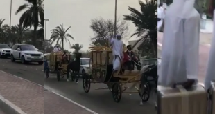 شارك في نقل الجهاز عربات الخيول والباصات