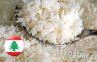 الأرزّ في لبنان مسرطن والصين المتهم الاكبر