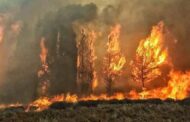 لبنان يحترق.. والنيران تحاصر السكان في المنازل..بالفيديو