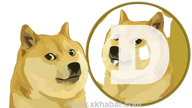 عملة Doge الرقمية تتقدّم مجددا الى ربع دولار