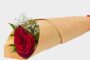 في عيد الحب الفالنتاين سعر الوردة يساوي معاش انسان !